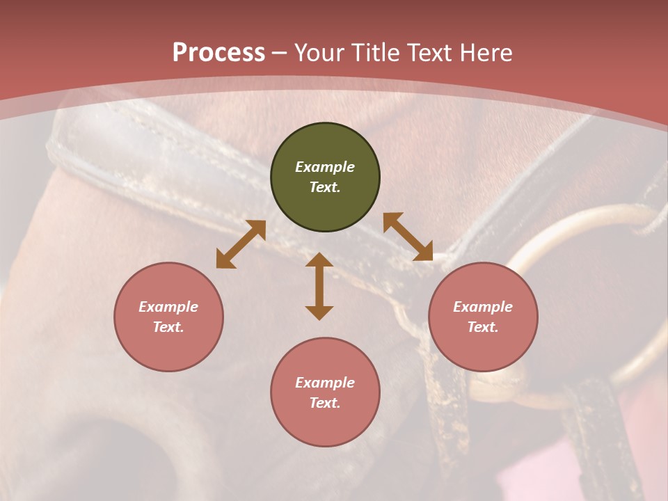 Animal Oneperson Colour PowerPoint Template