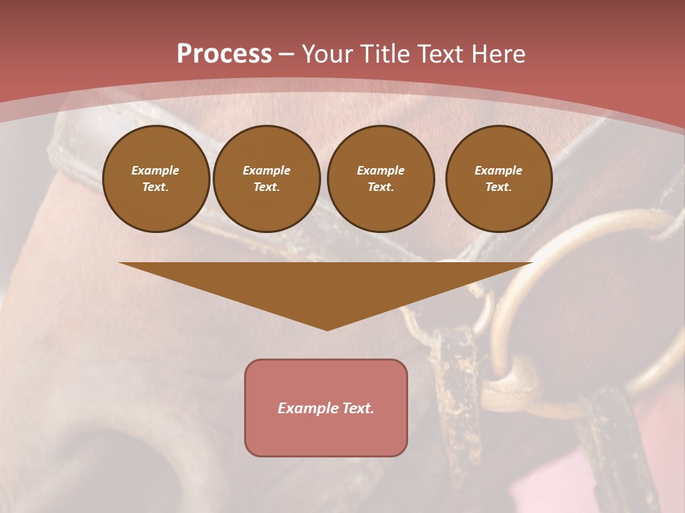 Animal Oneperson Colour PowerPoint Template