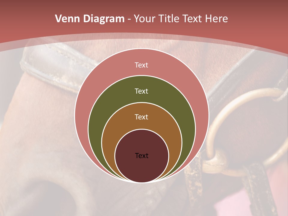 Animal Oneperson Colour PowerPoint Template