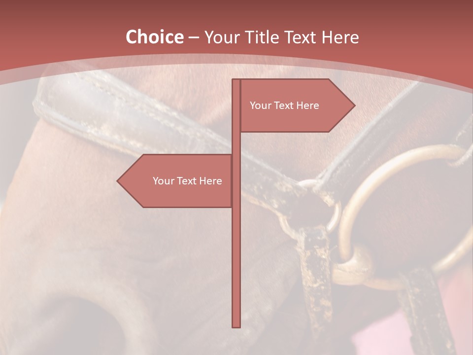 Animal Oneperson Colour PowerPoint Template