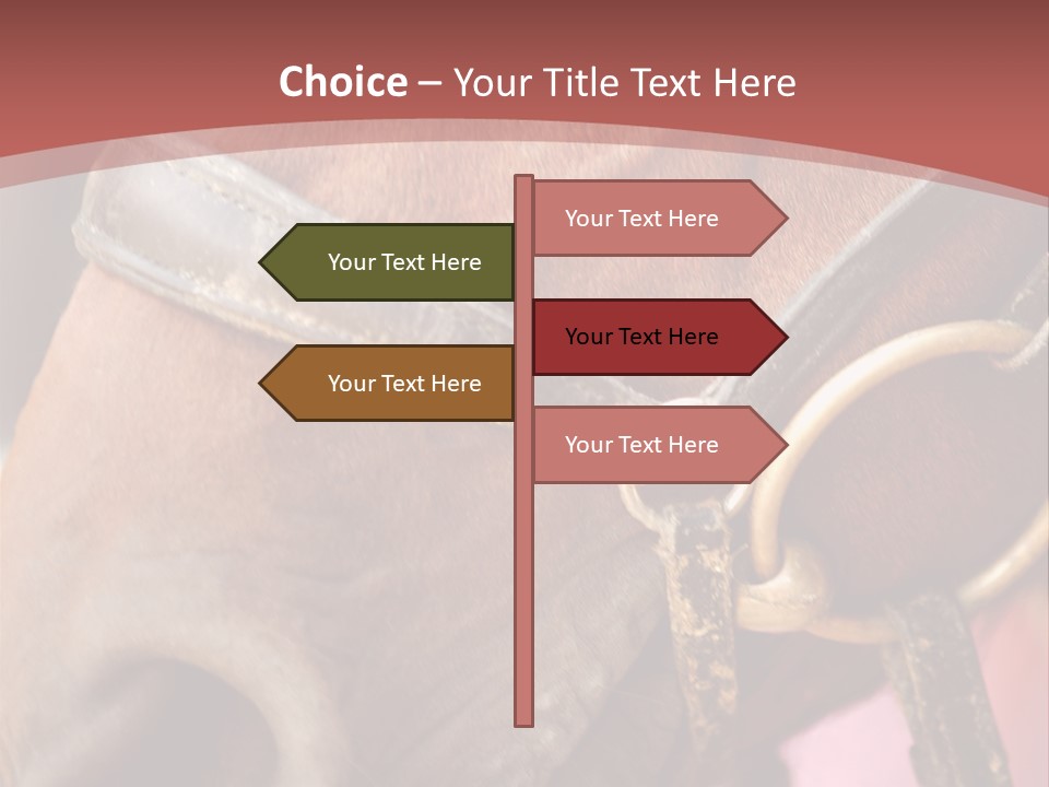 Animal Oneperson Colour PowerPoint Template