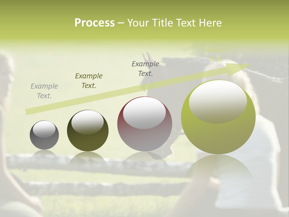 Oddtoedungulate Female Fence PowerPoint Template