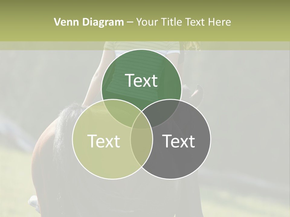 Posters Graphic Season PowerPoint Template