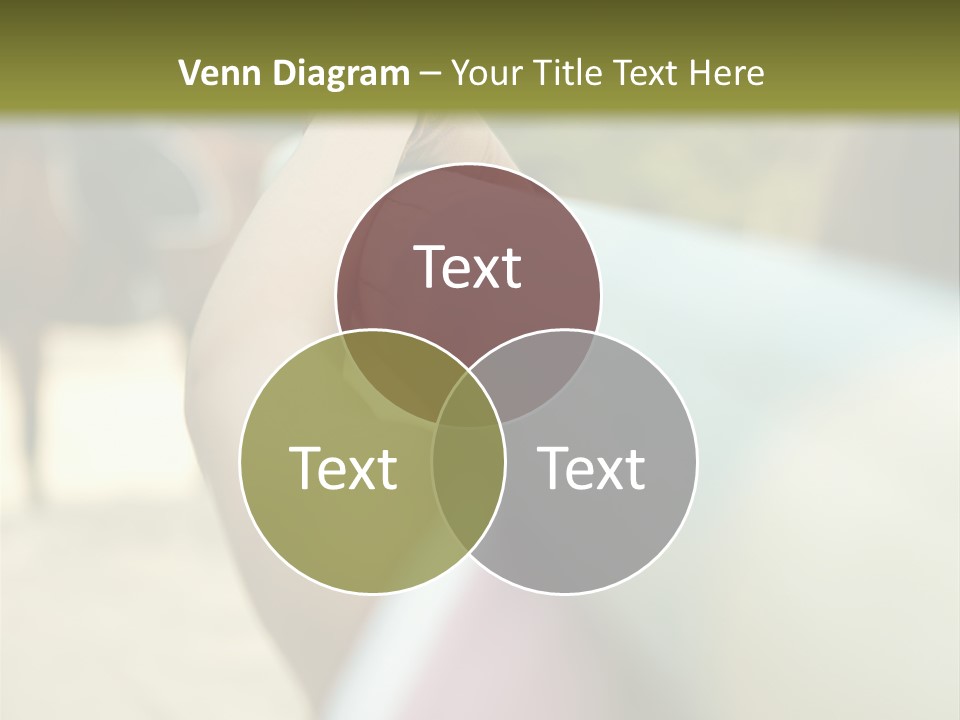 Curves Couples Evenings PowerPoint Template