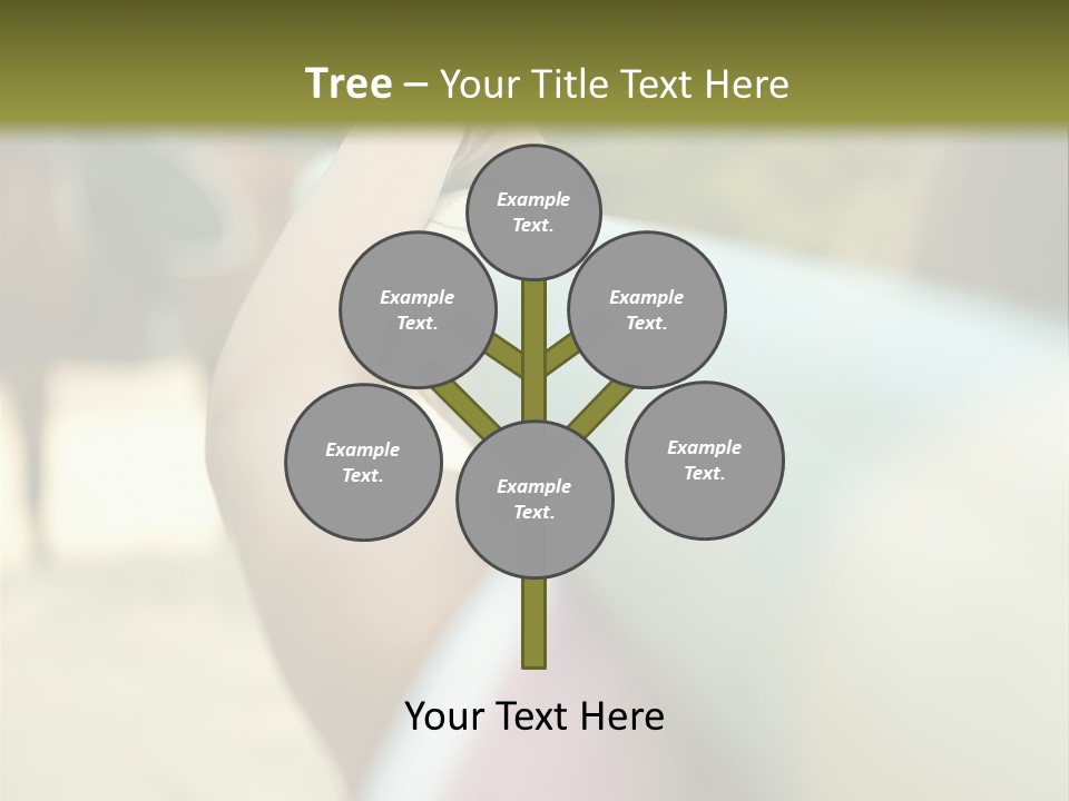 Curves Couples Evenings PowerPoint Template