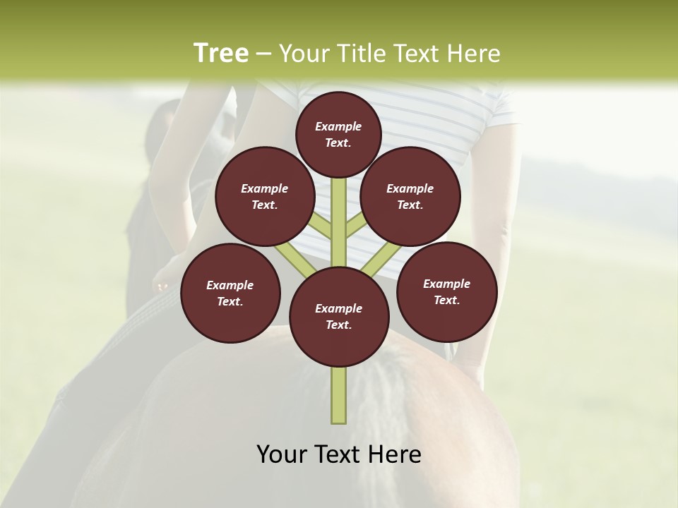 Season Bay Images PowerPoint Template