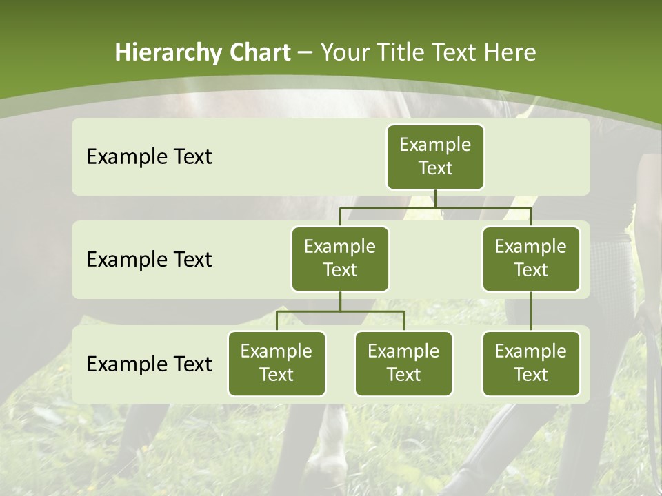 Grass Teenager Stockphotograph PowerPoint Template