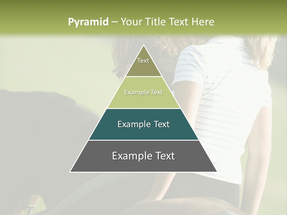 Outdoor Horse Images PowerPoint Template