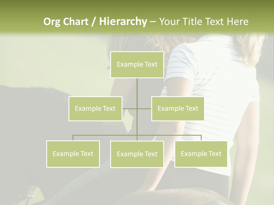 Outdoor Horse Images PowerPoint Template