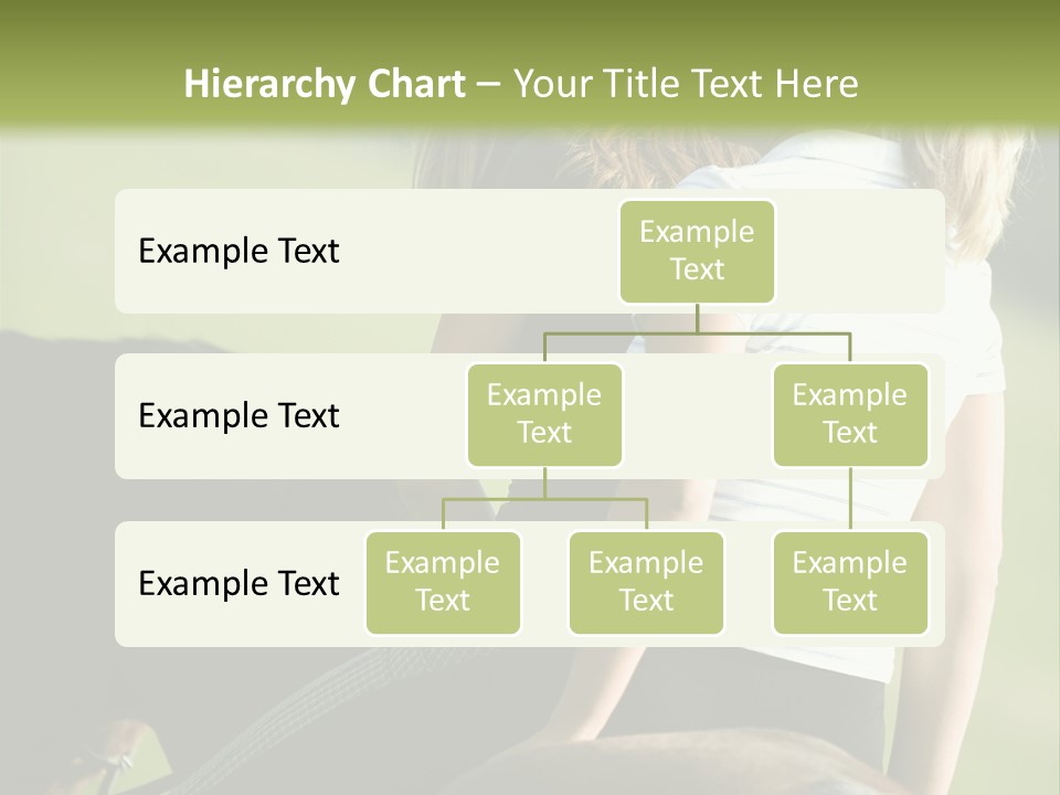 Outdoor Horse Images PowerPoint Template