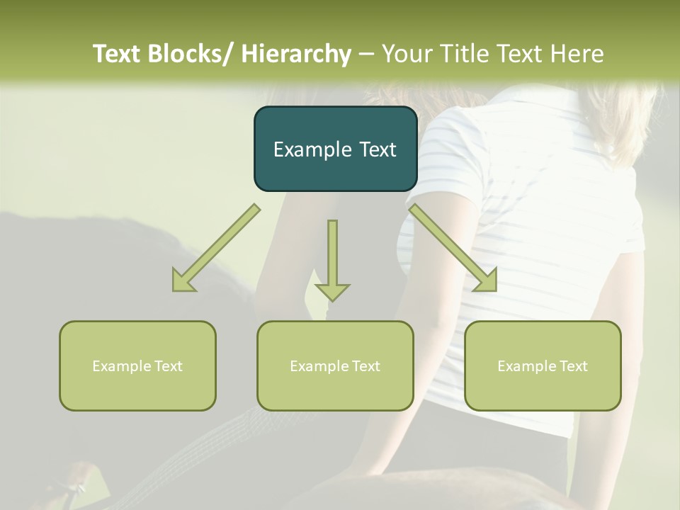 Outdoor Horse Images PowerPoint Template