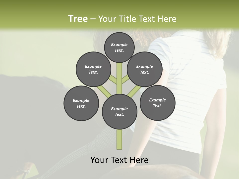 Outdoor Horse Images PowerPoint Template