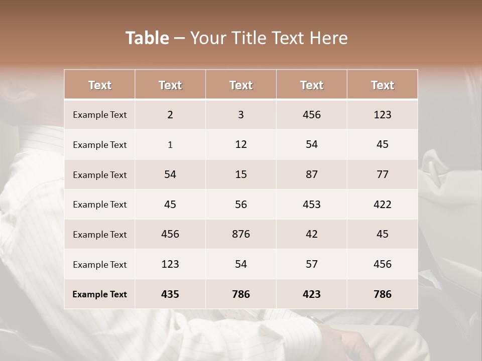 Business People On An Aeroplane PowerPoint Template