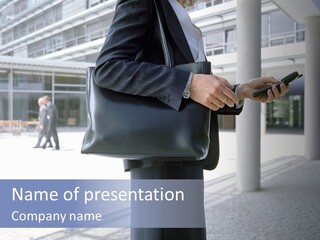 Business People On An Aeroplane PowerPoint Template