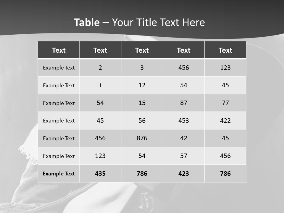 Snook Musketeers PowerPoint Template