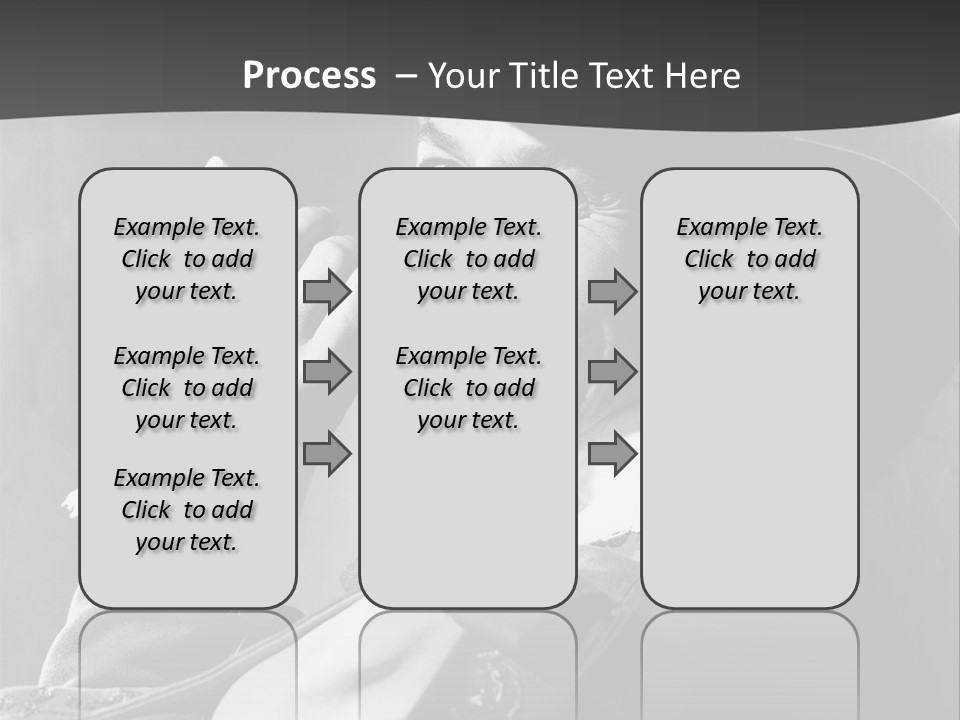 Snook Musketeers PowerPoint Template