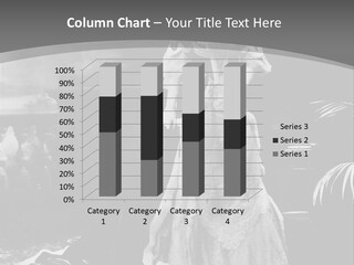 The Image Of The Queen PowerPoint Template