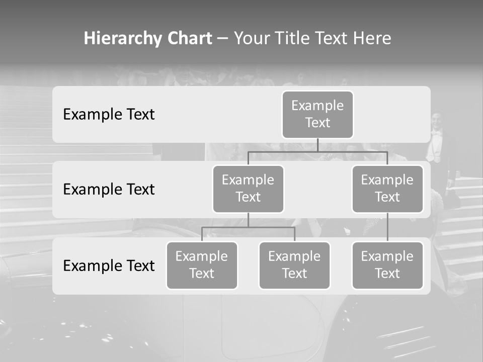 Government One Person Senator PowerPoint Template