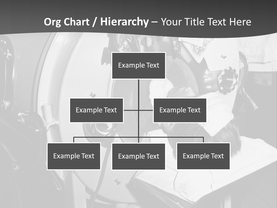 Brecht Josef Western Europeans Progress PowerPoint Template