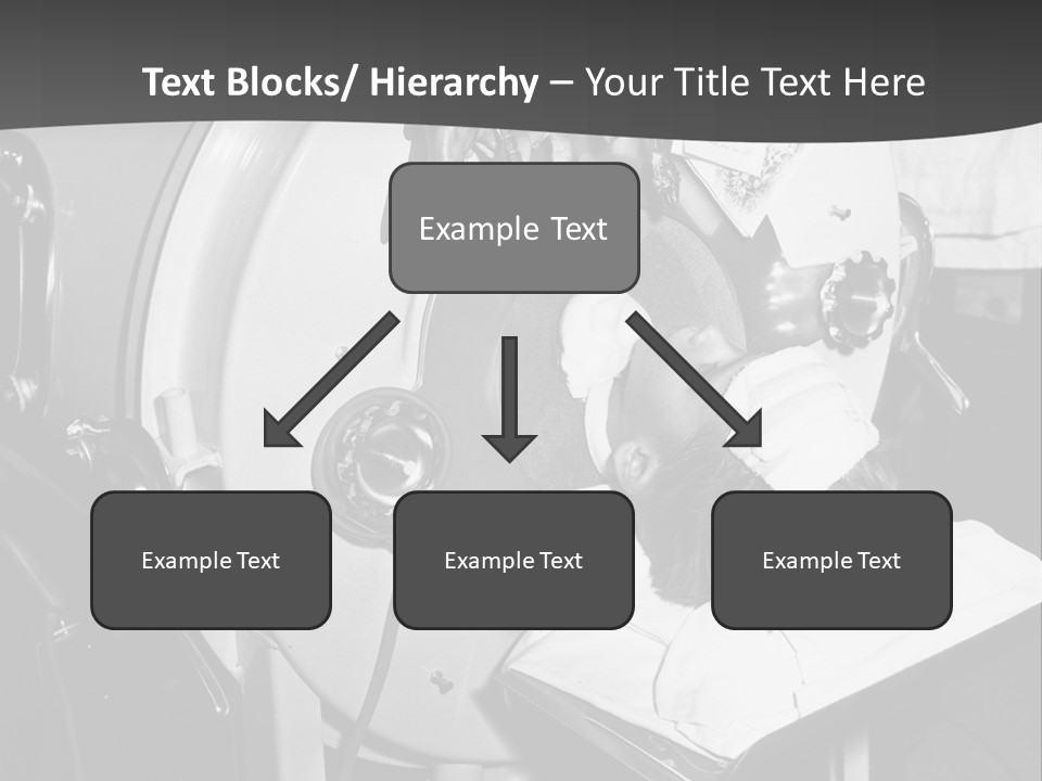 Brecht Josef Western Europeans Progress PowerPoint Template