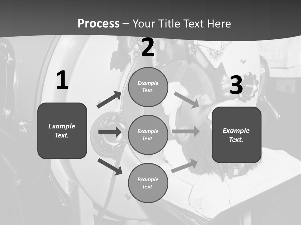 Brecht Josef Western Europeans Progress PowerPoint Template