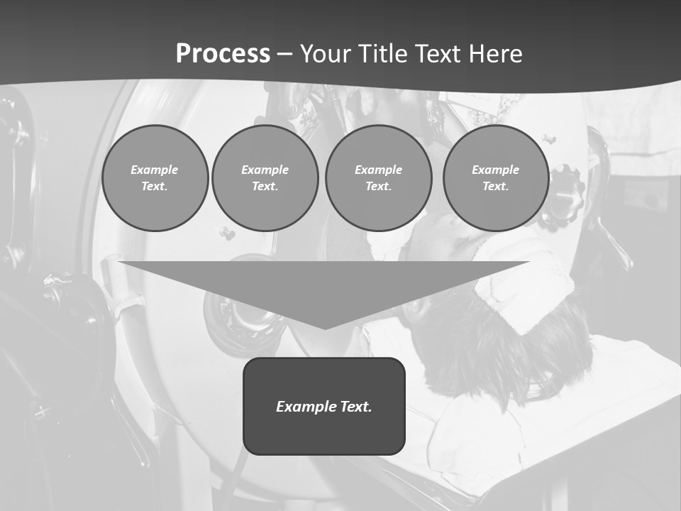 Brecht Josef Western Europeans Progress PowerPoint Template