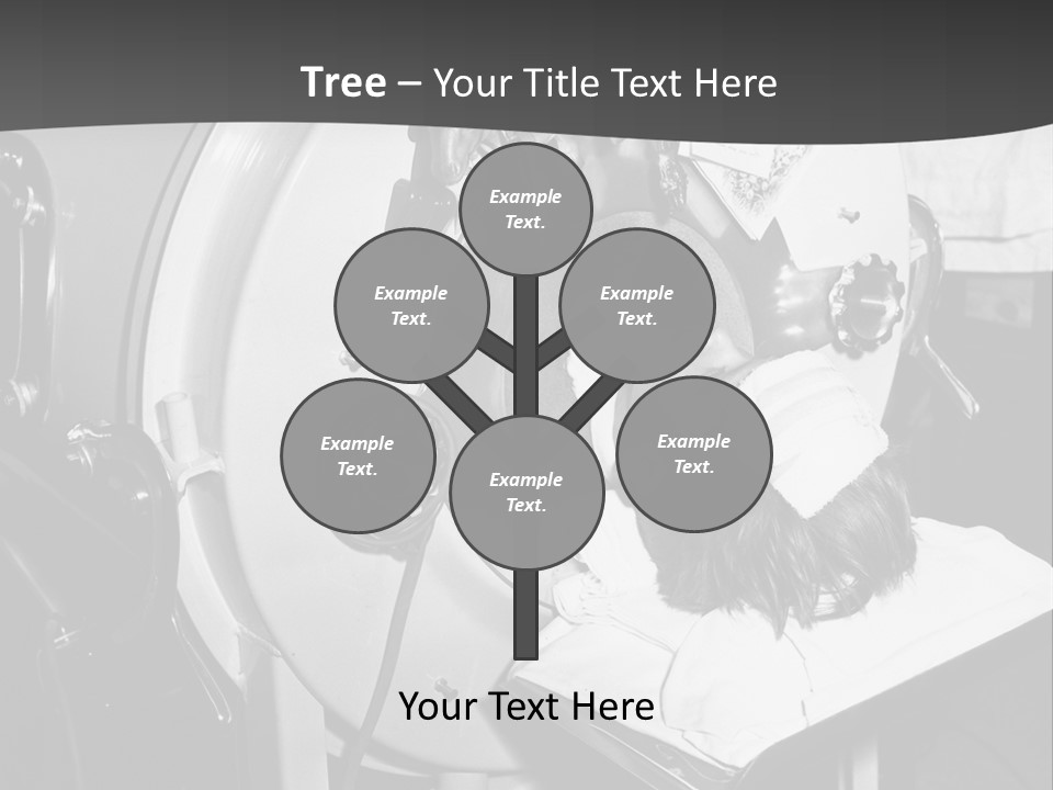 Brecht Josef Western Europeans Progress PowerPoint Template