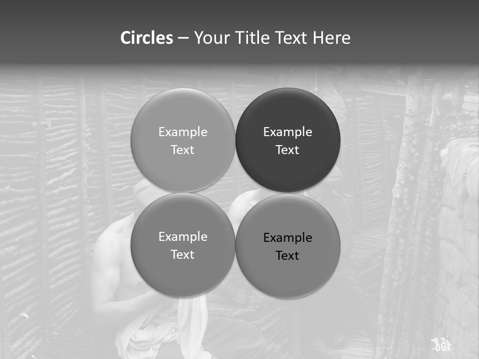 The Soldiers At The Barricades PowerPoint Template