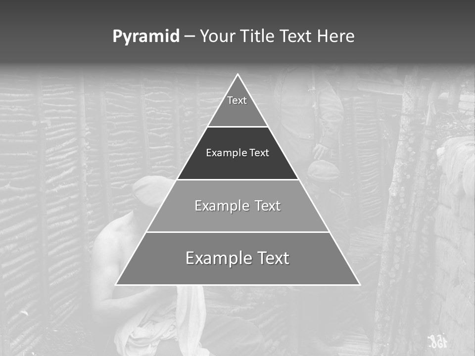 The Soldiers At The Barricades PowerPoint Template