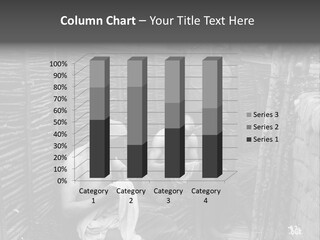 The Soldiers At The Barricades PowerPoint Template