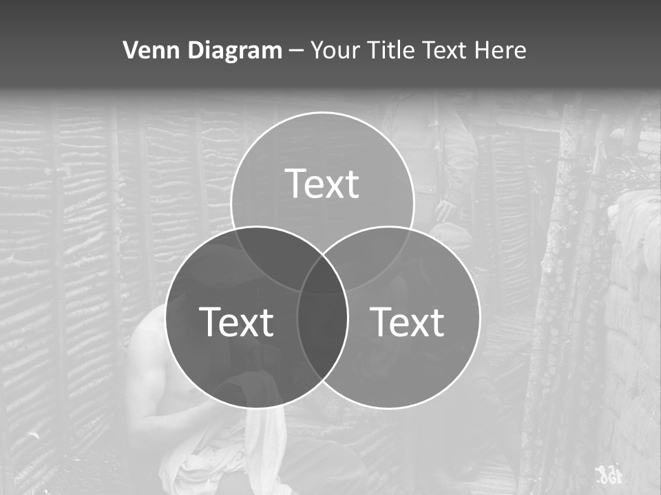 The Soldiers At The Barricades PowerPoint Template