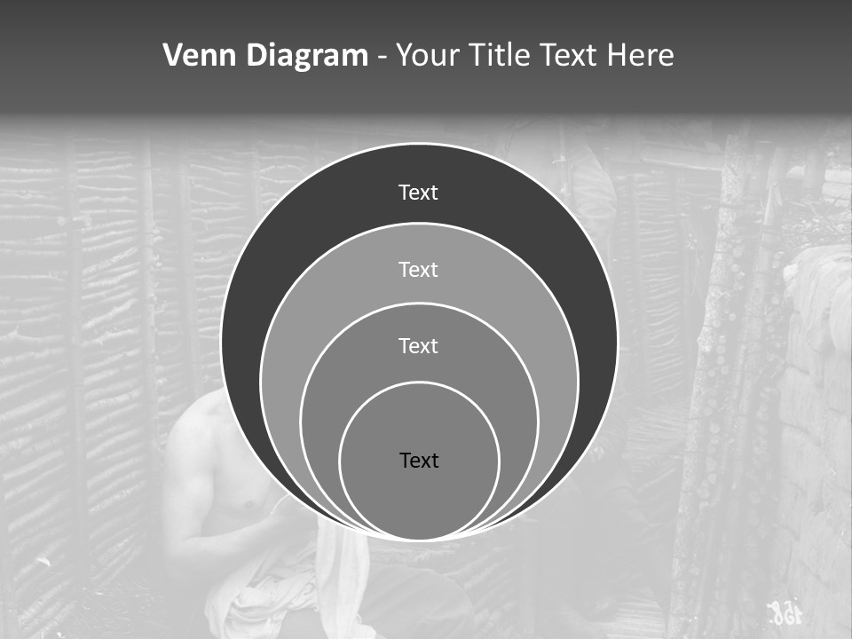 The Soldiers At The Barricades PowerPoint Template