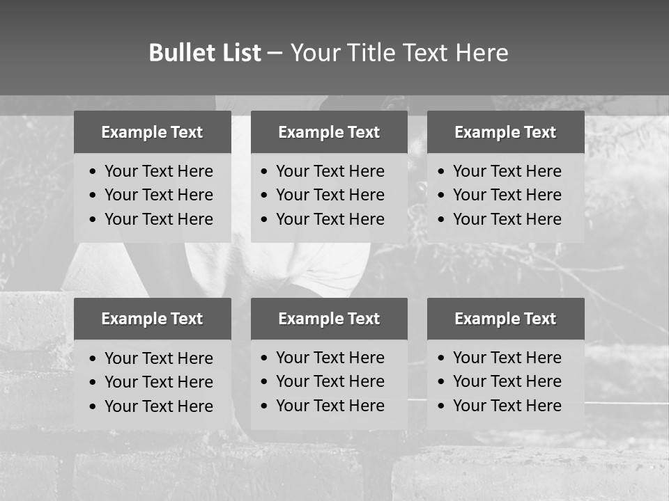 Black Guy Builds A Wall Of Black And White Background PowerPoint Template