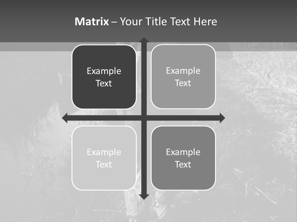 Man Walking In The Field PowerPoint Template