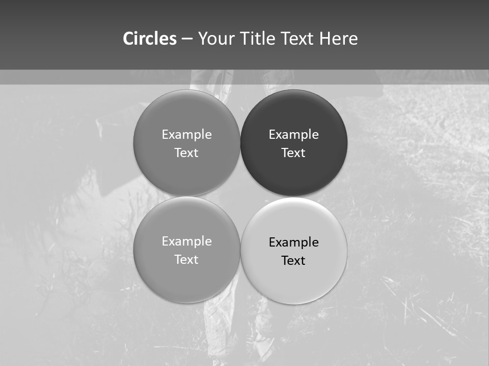 Man Walking In The Field PowerPoint Template