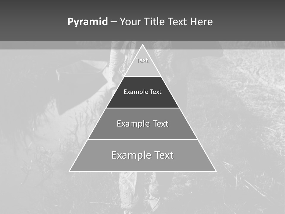 Man Walking In The Field PowerPoint Template