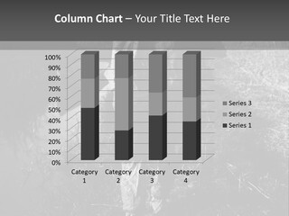 Man Walking In The Field PowerPoint Template