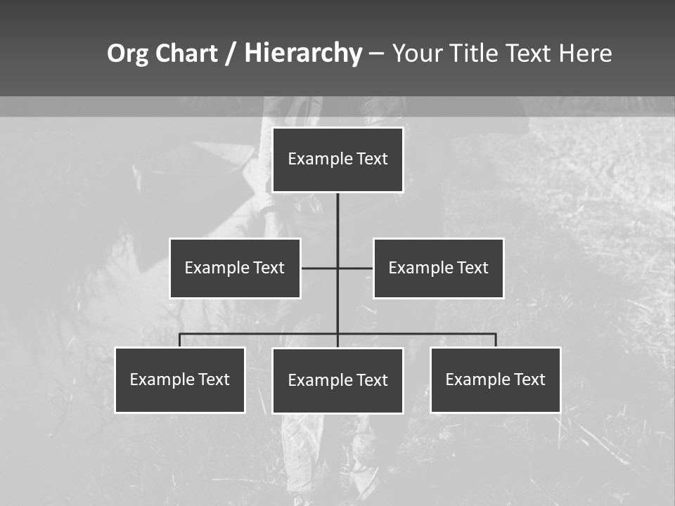 Man Walking In The Field PowerPoint Template