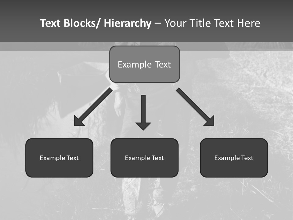 Man Walking In The Field PowerPoint Template