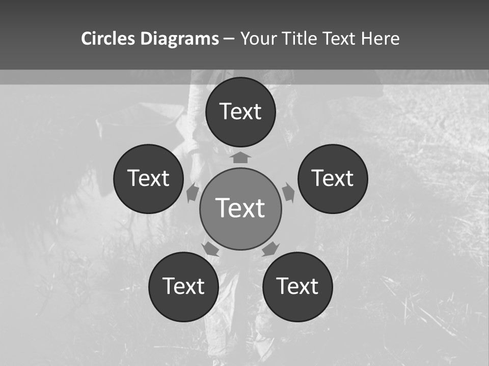 Man Walking In The Field PowerPoint Template