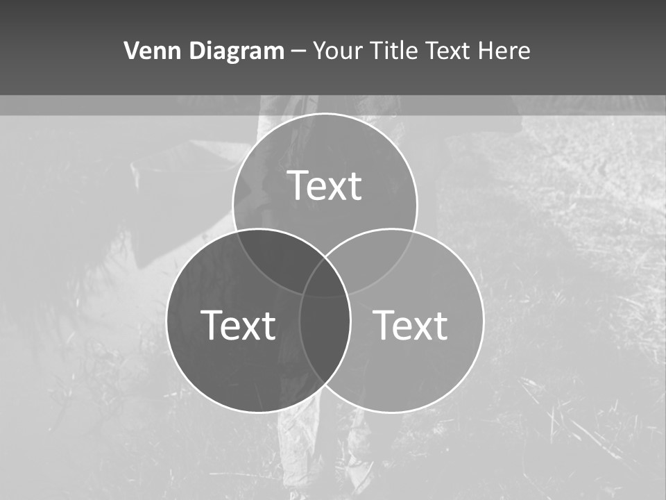 Man Walking In The Field PowerPoint Template