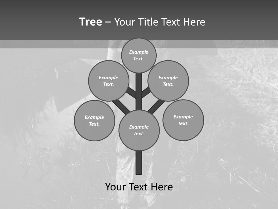 Man Walking In The Field PowerPoint Template