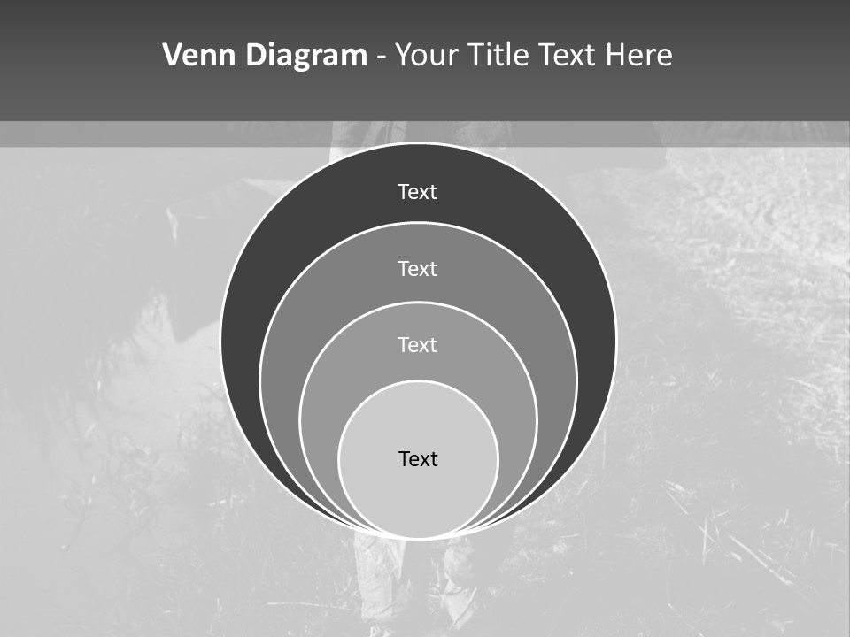 Man Walking In The Field PowerPoint Template