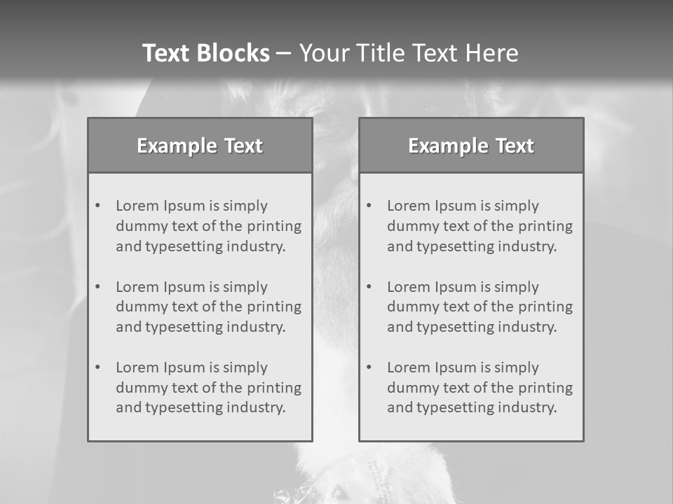 Kind Santa Claus Black And White Background PowerPoint Template