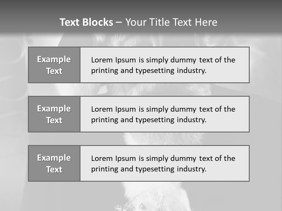 Kind Santa Claus Black And White Background PowerPoint Template