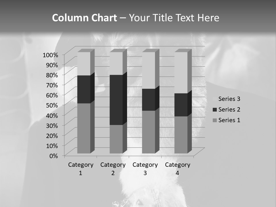 Kind Santa Claus Black And White Background PowerPoint Template