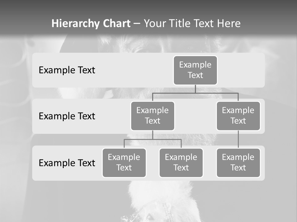 Kind Santa Claus Black And White Background PowerPoint Template