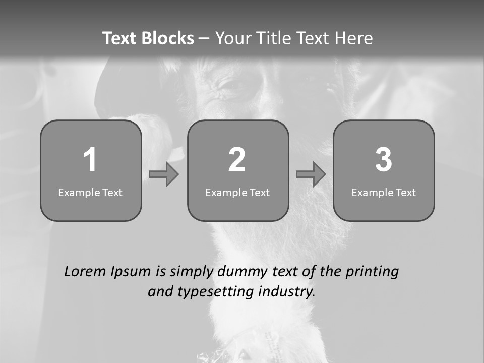 Kind Santa Claus Black And White Background PowerPoint Template