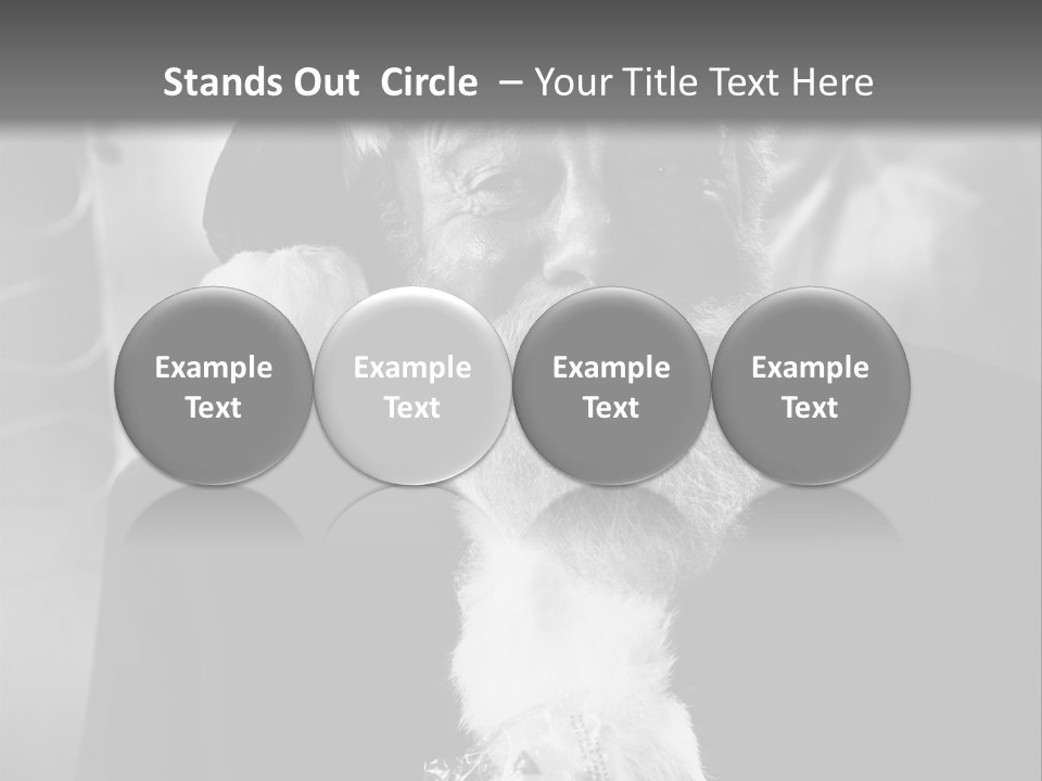 Kind Santa Claus Black And White Background PowerPoint Template