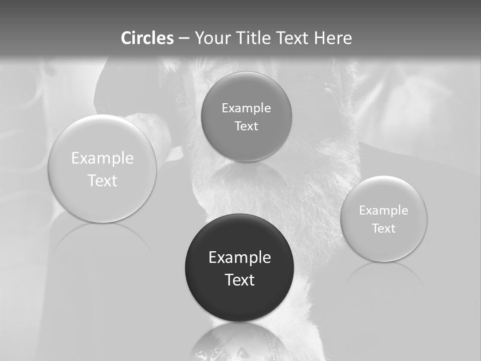 Kind Santa Claus Black And White Background PowerPoint Template